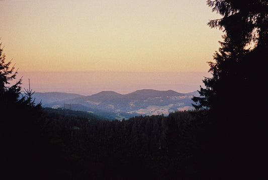 Beispielaufnahme mit Kodak Ultramax 400 (Sunset)
