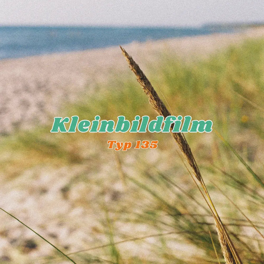 Typ 135 Film (Kleinbildfilm)